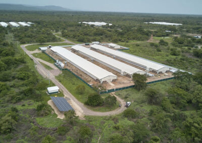 Cargill
