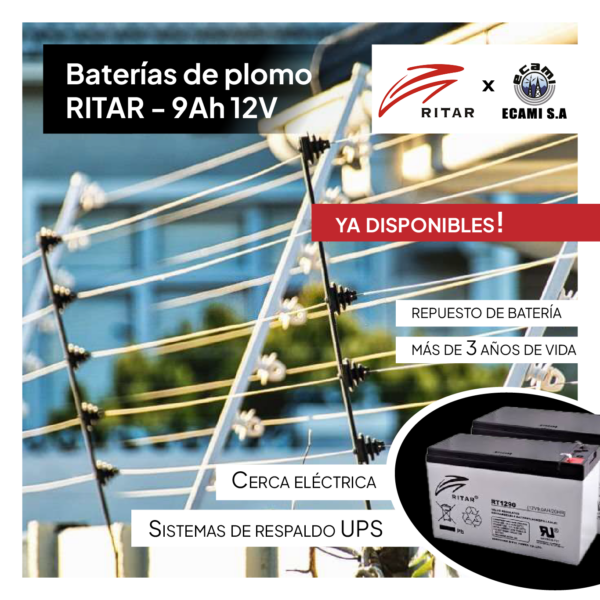 RITAR 1290 12VDC - Image 2