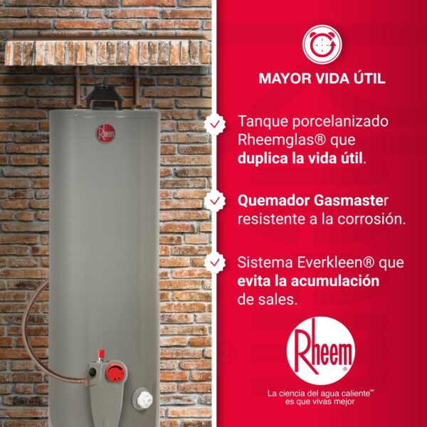 CALENTADOR DE AGUA A GAS RHEEM 40 GL (152 LITROS) - Image 4